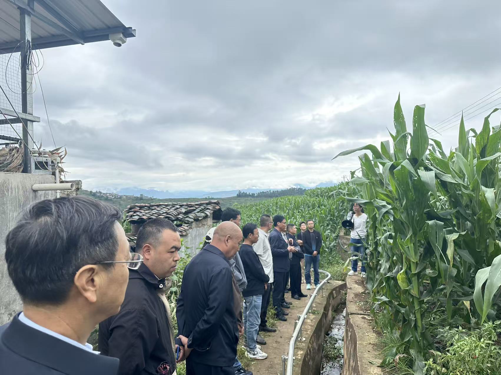 黨建引領聚合力 糧煙融合促振興 ——涼山州農科